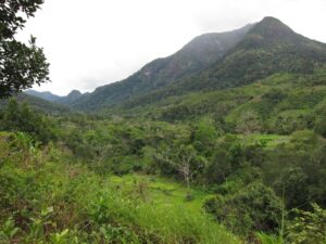 11-Day Madagascar Vanilla Triangle Adventure A lush, green valley is framed by verdant mountains under a cloudy sky.