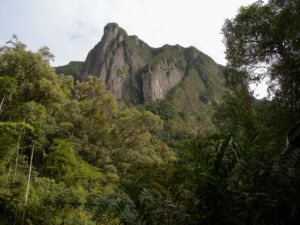 6-Day Marojejy National Park Hiking Excursion from Andapa A scenic view of a rugged mountain peak surrounded by lush, green vegetation and trees under a cloudy sky.