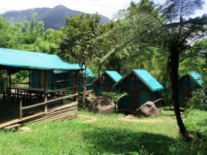 10-Day Madagascar Vanilla Coast Cultural and Natural Highlights Tour A lush, green landscape features rustic cabins with turquoise roofs nestled among trees and rocks, with a mountain visible in the background.
